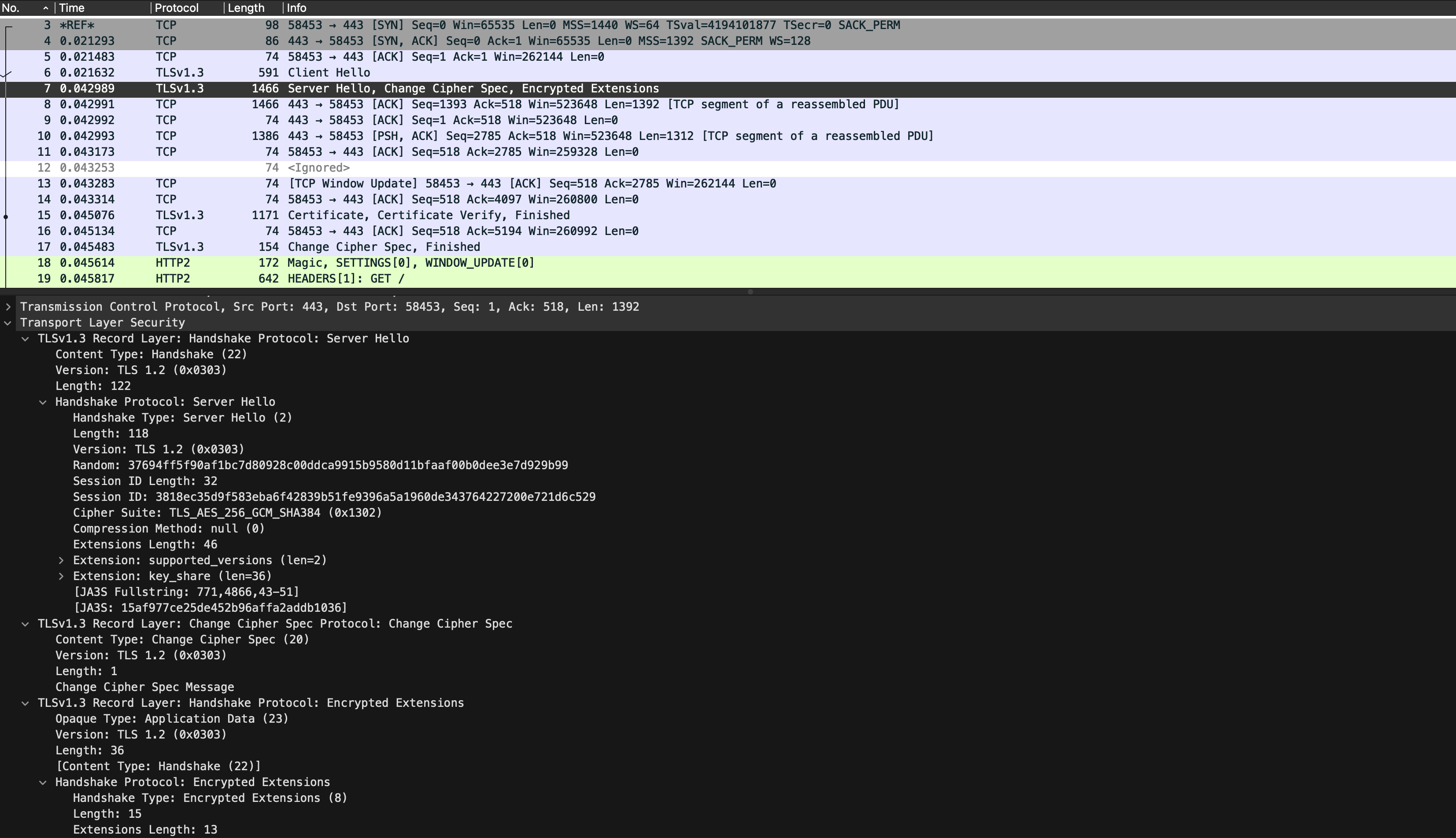 Server Hello, Change Cipher Spec, Encrypted Extensions